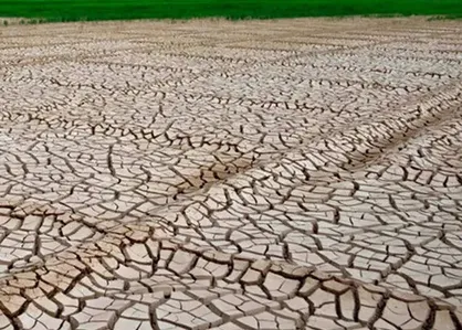 کاهش شدید بارندگی در خراسان رضوی