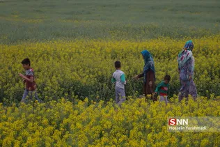 گشت و گذار با خانواده در کنار مشقت زندگی
