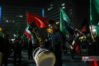 دبب