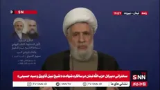 شیخ نعیم: اسرائیل توقع داشت بعد از توافق آتش بس به اهداف سیاسی خود برسد / حزب الله جزئی از دولت لبنان است و قابل جدا شدن نیست