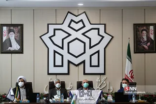 سیل