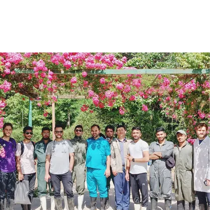 واکسیناسیون ۱۸ هزار دام به همت دامپزشکان جهادگر