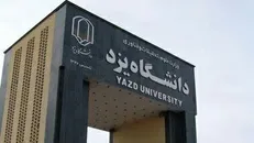 دو عضو هیئت علمی دانشگاه یزد در جمع پژوهشگران یک درصد برتر جهان قرار گرفتند