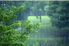 بارش باران در سواحل دریای خزر