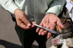طرح رعد پلیس پیشگیری