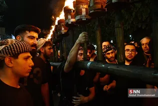 دبب
