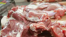 گوشت گوسفندی گران شد / مذاکره با ۳ کشور اروپایی برای واردات