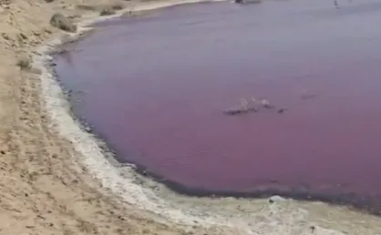 رودخانه سیریز زرند در پدیده&zwnj;ای نادر به رنگ ارغوانی در آمد