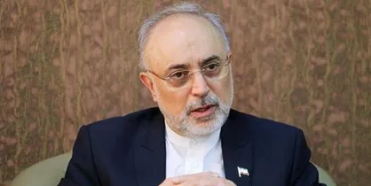 &laquo;علی&zwnj;اکبر صالحی&raquo; قصد کاندیداتوری در انتخابات دارد