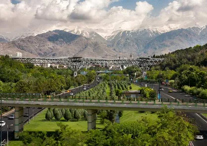 مهم ترین خدمت درختان به مناطق شهری