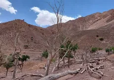 سال زراعی گذشته کم‌باران‌ترین سال در ۵۰ سال گذشته بوده/ کاهش ۲۸ درصدی بارش‌های خراسان جنوبی در بلندمدت