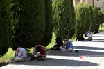 عرفه