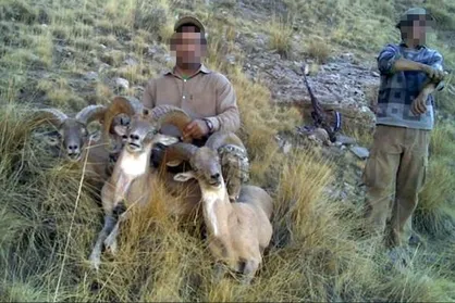 دستگیری ۱۰۸۷ متخلف شکار و صید در استان خراسان رضوی / ۴۱ میلیارد ریال خسارت به محیط زیست وارد شده