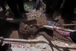 دبب