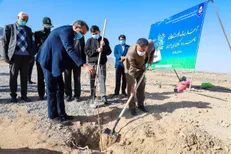 پروژه درختکاری پهنه ۱۱۰ هکتاری امیریه در دانشگاه بیرجند آغاز شد