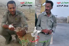 حکم قصاص قاتل محیط بانان هرمزگانی تایید شد