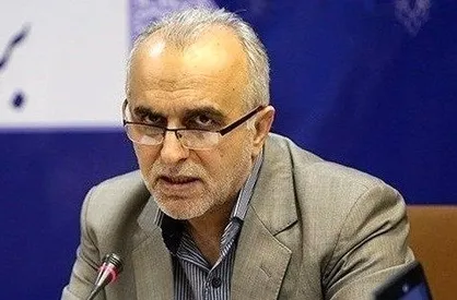 دژپسند: ادغام بانک&zwnj;های خصوصی نسخه واحدی ندارد