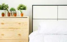 با این گیاهان راحت بخوابید