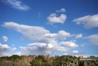 سااث
