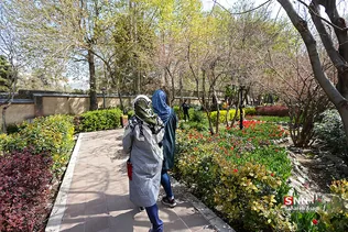 باغ ایرانی