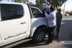 رهاسازی ۹ قطعه پرنده شکاری و آبزی در تالاب بهشت معصومه