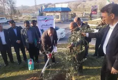 پل زائر تا نقطه صفر مرزی مهران درختکاری می‌شود