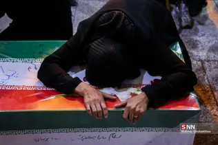 دبب