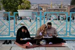 دبب
