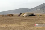 واکسن ذام