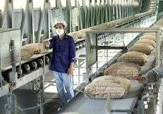 ابقای صنعت تولید سیمان با لغو قیمت‌گذاری دستوری