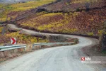 fall