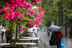 هوای ابری و مه‌آلود در گیلان ماندگار شد