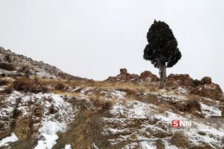 طبیعت برفی