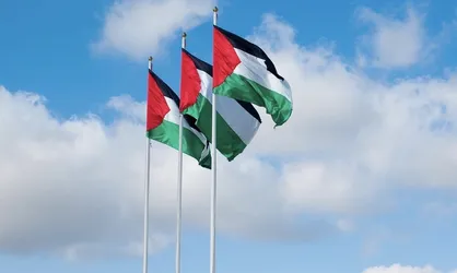 ایرلند برای نخستین&zwnj;بار با تعیین سفیر فلسطین دراین کشور موافقت کرد
