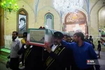 دبب