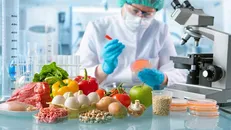همکاران برتر در حوزه صنایع غذایی معرفی می‌شوند