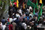 دانشگاه تربیت دبیر شهید رجایی 