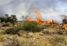 آتش‌سوزی گسترده در کوه‌های دراک