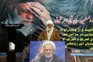شجونی
