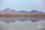 آبگیری تالاب‌ حوض سلطان قم در پی بارش‌های اخیر