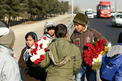 شناسایی ۵ هزار کودک کار در تهران