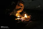 تصادف