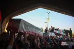 دبب