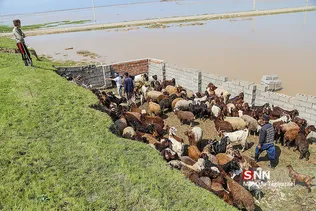 روستای آق قلا در چهارمین روز جاری شدن سیل