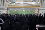 شاپور محمد زاده نهضت