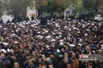 دسته ایالله وحید