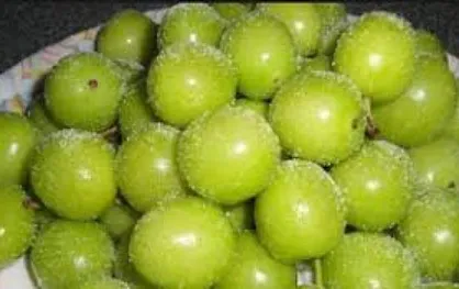 چه کسانی نباید گوجه سبز بخورند؟