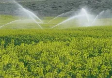 هدف‌گذاری بیش ۱۲۰۰ طرح اشتغال‌زایی در استان خوزستان طی سال جاری