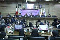 استاندار کرمان: کشور درگیر آسیب‌های اجتماعی است