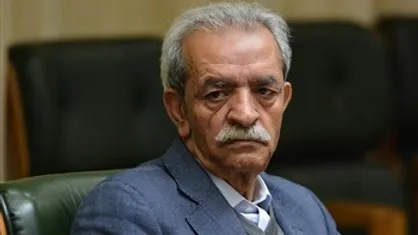 شافعی: بخش خصوصی در حوزه گردشگری بی&zwnj;پناه رها شد/ سهم ۶.۵ درصدی گردشگری از کل اشتغال